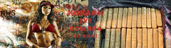 mix Горняк