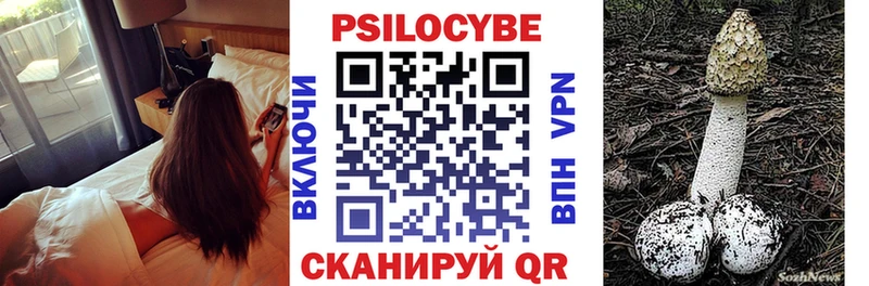 Псилоцибиновые грибы мухоморы Купить закладки Нововоронеж