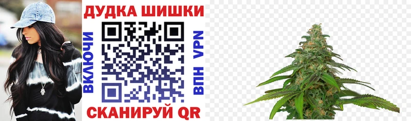 Купить закладки  Нововоронеж  Шишки марихуана семена 
